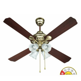 Havells Florence Under Light Ceiling Fan